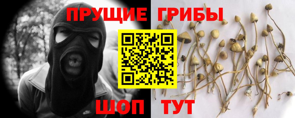 Галлюциногенные грибы мухоморы Феодосия